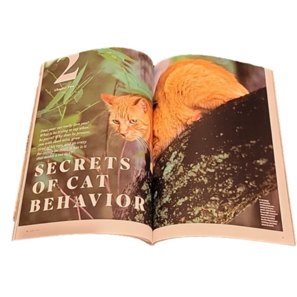 2019 LIFE Magazine "Cats: Companions in Life" Brand New Condition - Picture 5 of 6